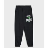 Sinsay Donji dio trenirke loose jogger Minecraft Slike