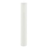 Ego Dekor Bela dolga sveča Cylinder Pure, čas gorenja 28 h | Shoptok.si