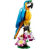 Lego Creator 3in1: Eksotični papagaj | Shoptok.si