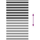 vidaXL idaXL Zebra senčilo črna 130x200 cm tkanina širina 125,9 cm poliester | Shoptok.si