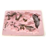  Set za izkopavanje okostja T-rexa | Shoptok.si
