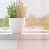 vidaXL Voile zavjese s džepovima za šipke 2 kom svijetlo ružičaste | shoptok.hr