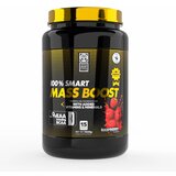 100% SMART MASS BOOST - 1500G - Raspberry | shoptok.hr