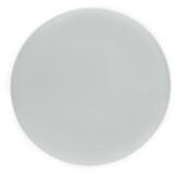  LED spoljašnje plafonsko svetlo NYMPHEA LED/32W/230V IP54 3000K | Eponuda.com