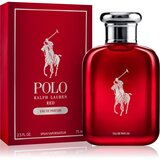 Polo Ralph Lauren Polo Red parfumska voda za moške 75 ml | Shoptok.si