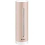 termometer/vlagomer na podlagi aplikacij healthy home coach NE1020ZZ, (20449970)