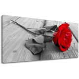  Slike na platnu cvetje panorama KV115E13 (moderne slike na) | shoptok.hr