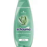 Schauma Herbs & Volume Shampoo šampon z rožmarinom za povečanje volumna las za ženske
