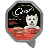 Cesar Mega pakiranje pladnji 14 x 150 g - Klasika s sočno govedino in jetri