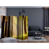  Paravan u 5 dijelova - Mysterious forest path II [Room Dividers] 225x172 | shoptok.hr