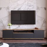 TV OMARICA SAUL Cene