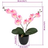  Umjetna orhideja Ružičasta 36 x 10 x 30 cm Tkanina, PE i PEVA | shoptok.hr