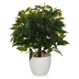 MID.YOU Umetna Rastlina Ficus I Cene