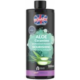 RONNEY šampon za suvu kosu Aloe Ceramides 1000ml Cene