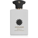 Amouage Opus V: Woods Symphony parfumska voda uniseks 100 ml | Shoptok.si