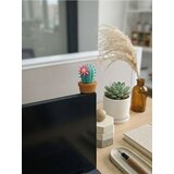 Sinsay Dekoracija za laptop u obliku kaktusa Cijene