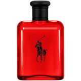 Parfem Toaletna voda Eau de Toilette Polo Rot 125 ml | Shoptok.si
