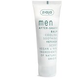 Ziaja Losion posle brijanja Vetiver, 80 ml Cene
