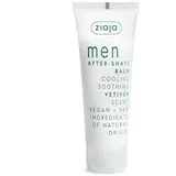 Losion posle brijanja Vetiver, 80 ml