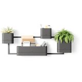 Umbra Plastični cvetlični lonci v kompletu 4 ks za zelišča/viseči Cubiko – | Shoptok.si