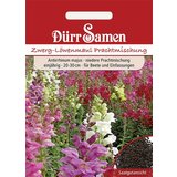 Dürr Samen Pritlikavi odolin Cene