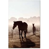  Slika - Morning of Memories (1 Part) Vertical 40x60 Akustična | shoptok.hr