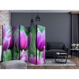  Paravan u 5 dijelova - Purple spring tulips II [Room Dividers] 225x172 | shoptok.hr