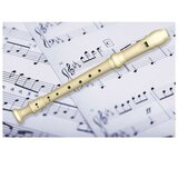  INSTRUMENT BLOK FLAUTA PLASTIČNI PLUS ČISTAČ ARDA 117M | shoptok.hr