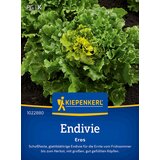 KIEPENKERL Endivija Eros - 1 pkt. Cene