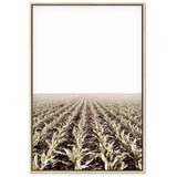  Slika - Corn Field (1 Part) Vertical 40x60 U prirodnom drvenom okviru | shoptok.hr