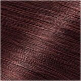 Garnier Barve za lase Belle Color Permanente Haarfarbe - 4.8 Chatain M0cha Kostanjeva | Shoptok.si