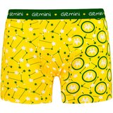 Frogies Men's boxers Zodiac Dvojček | Shoptok.si