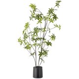 Bloomingville Umetna rastlina (višina 160 cm) Palmatum – Cene