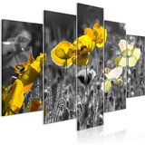  Slika - Yellow Poppies (5 Parts) Wide 200x100 Cijene