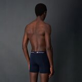 Champion Boksarice BOXER X2 Modra | Shoptok.si