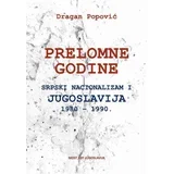 Dragan Popović - Prelomne godine