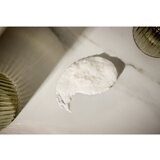 Christophe Robin Cleansing Purifying Scrub with Sea Salt čistilni šampon s piling učinkom 250 ml | Shoptok.si