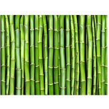 Tapeta - Bamboo wall 250x193 | shoptok.hr