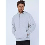 DStreet Bluza męska z kapturem szara | Shoptok.si