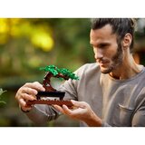 Lego Botanical Collection: Bonsaj | Shoptok.si