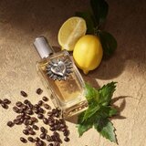 Dolce & Gabbana Devotion Pour Homme parfumska voda za moške 100 ml | Shoptok.si