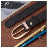 Beltimore D9272912 Crna | shoptok.hr