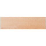 Step treads 20 kom. 100 x 30 x 2 cm Prirodna Čvrsto drvo bukve | shoptok.hr