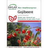 Saflax Goji jagode Cene