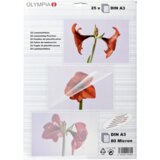 Olympia 1x25 Laminating pouches DIN A3 80 micron 9180 | shoptok.hr
