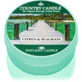 Country Candle Citrus & Seagrass čajna sveča 42 g Cene