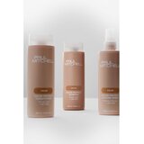 Paul Mitchell Color protect Locking Spray sprej bez ispiranja za očuvanje boje 250 ml | shoptok.hr