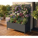  Westman Dekora 5 | Stepenasta čelična žardinjera s re&amp;scaron;etkom | antracit | 40x90x120 Slike