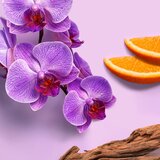 Weleda Dišava Meglica za telo in lase Mystic Aura - 95 ml | Shoptok.si