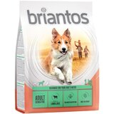 briantos suha pasja hrana 1 kg po posebni ceni! - Adult Sensitive jagnjetina & riž Cene